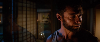 Росомаха: Бессмертный / The Wolverine (2013) BDRip