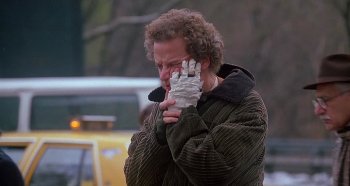 Один дома 2: Затерянный в Нью-Йорке / Home Alone 2: Lost in New York (1992)