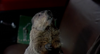 День сурка / Groundhog Day (1993)