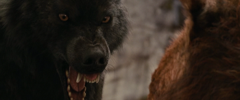 Сумерки. Сага. Рассвет: Часть 1 / The Twilight Saga: Breaking Dawn - Part 1 (2011)
