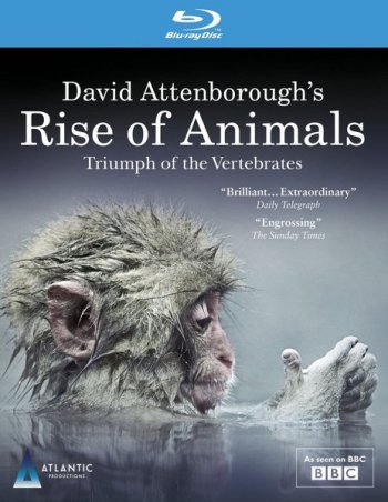 История животного мира с Дэвидом Аттенборо / Rise of Animals: Triumph of the Vertebrates (2013)