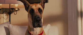 Мармадюк / Marmaduke (2010)