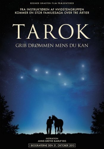 Поймать мечту / Tarok (2013)