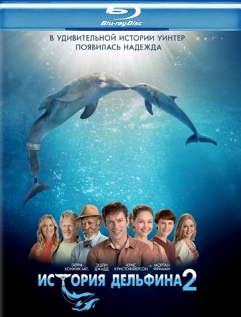 История дельфина 2 / Dolphin Tale 2 (2014) BDRip