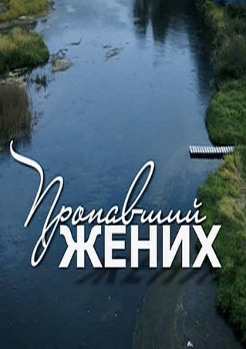 Пропавший жених (2014)