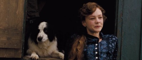 Вдали от безумной толпы (2015) BDRip