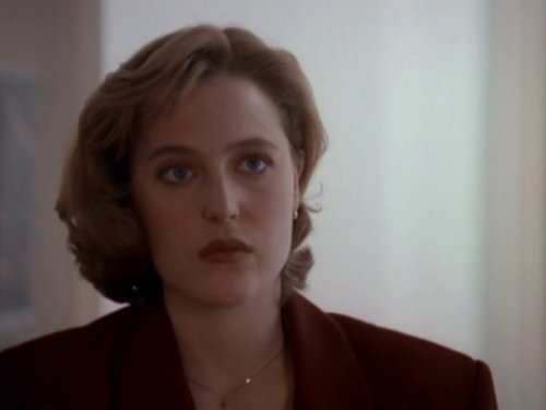 Секретные материалы (1-9 сезон) (1993-2002)