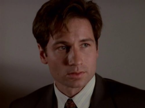 Секретные материалы (1-9 сезон) (1993-2002)