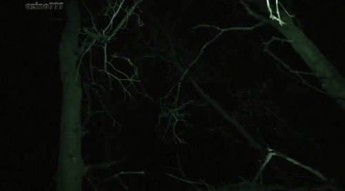 Территория Чупакабры (2016)
