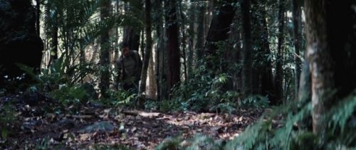 Джунгли (2017)