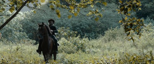 Дикарь (2017) BDRip 1080p