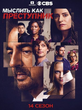 Мыслить как преступник (14 сезон) (2018)