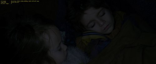Птичий короб (2018) 4K UHD WEBRip 2160p