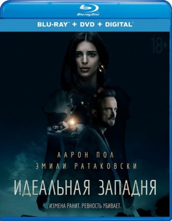 Идеальная западня (2018) BDRip 1080p