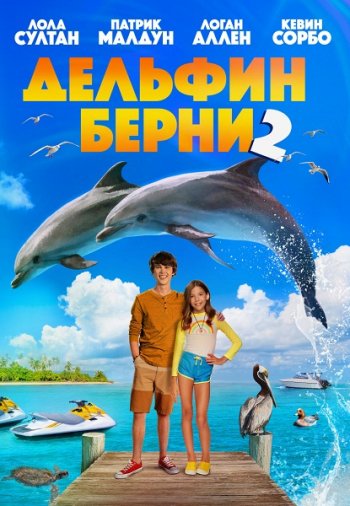 Дельфин Берни 2 (2019)