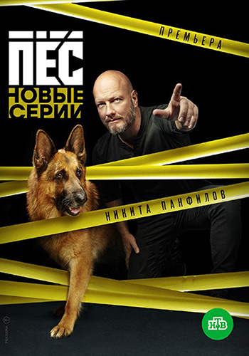 Пёс (7 сезон)