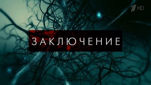 Заключение (2022)